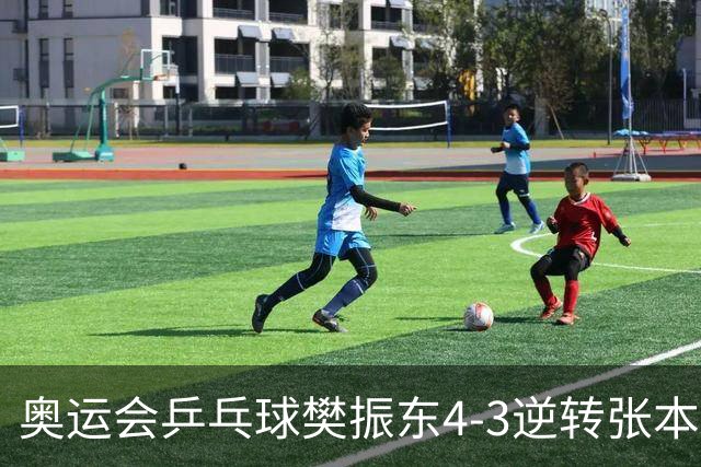 奥运会乒乓球樊振东4-3逆转张本智和 晋级男单4强