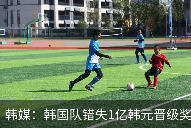 韩媒：韩国队错失1亿韩元晋级奖 但每人仍可拿8000万津贴