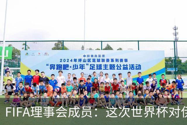 FIFA理事会成员：这次世界杯对伊朗太不公平，政治问题太敏感了